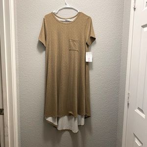LuLaRoe Carly Dress